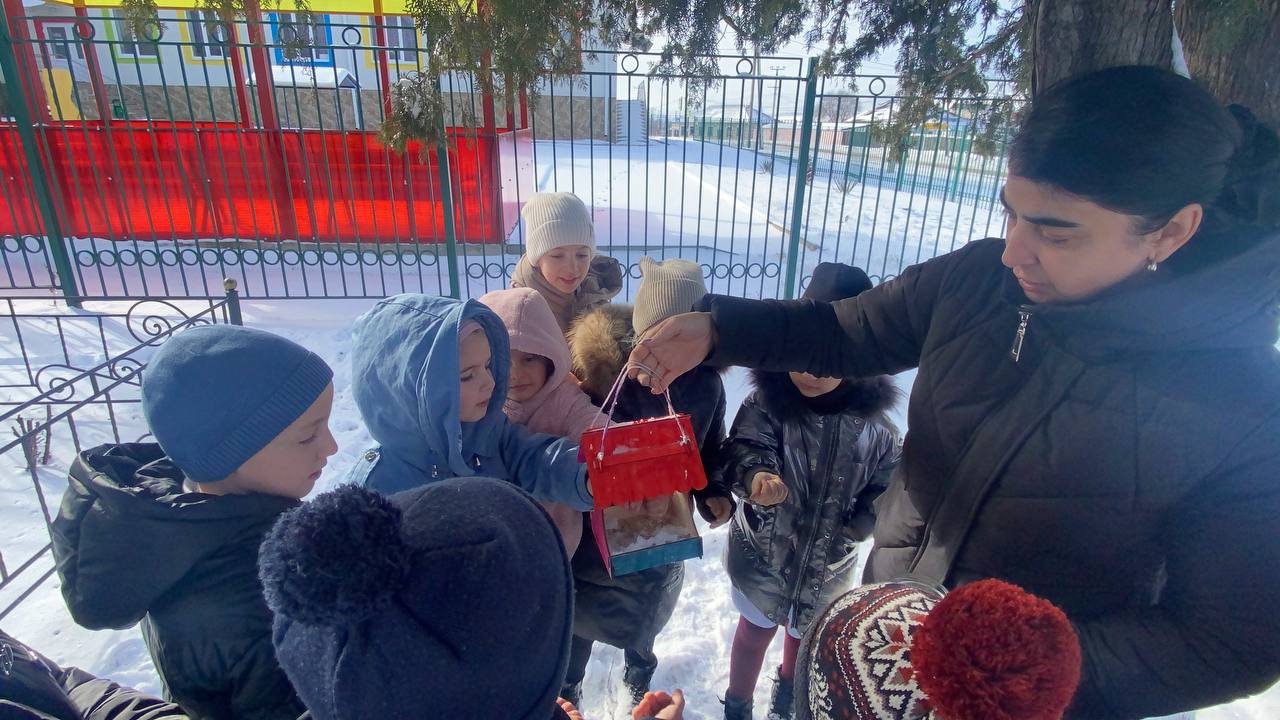 Помочь  пернатым друзьям - птицам..